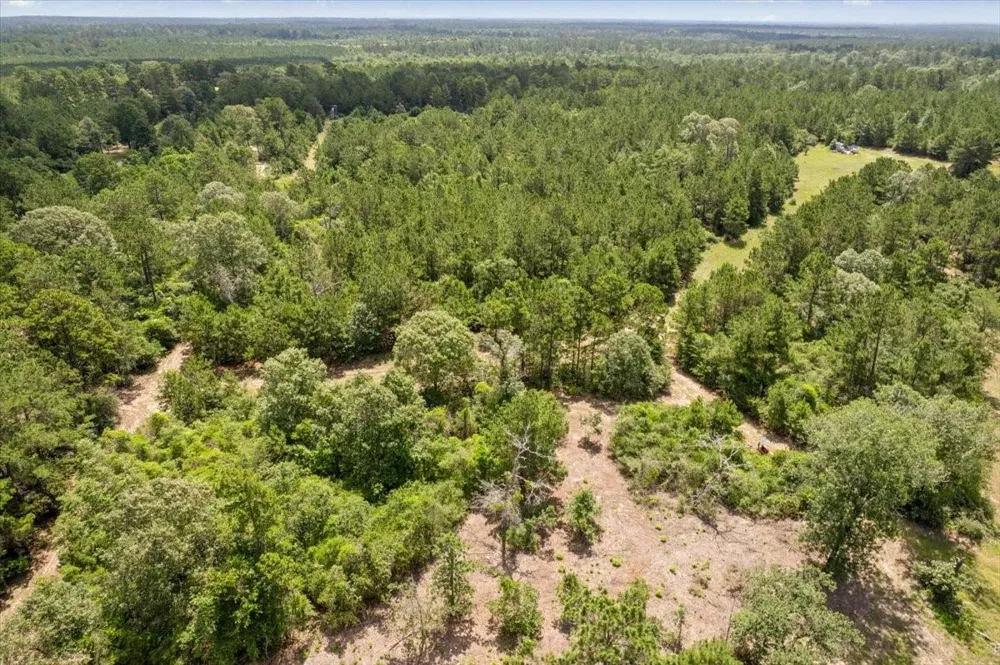 1 County Road 302 Plantersville, TX 77363