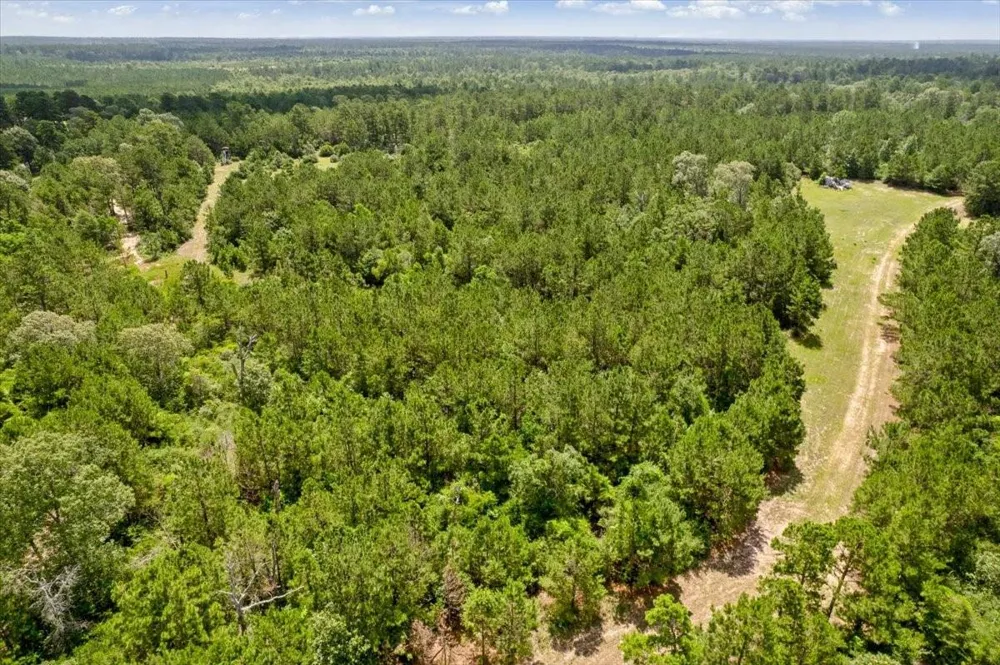 1 County Road 302 Plantersville, TX 77363