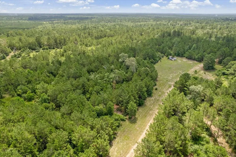 1 County Road 302 Plantersville, TX 77363