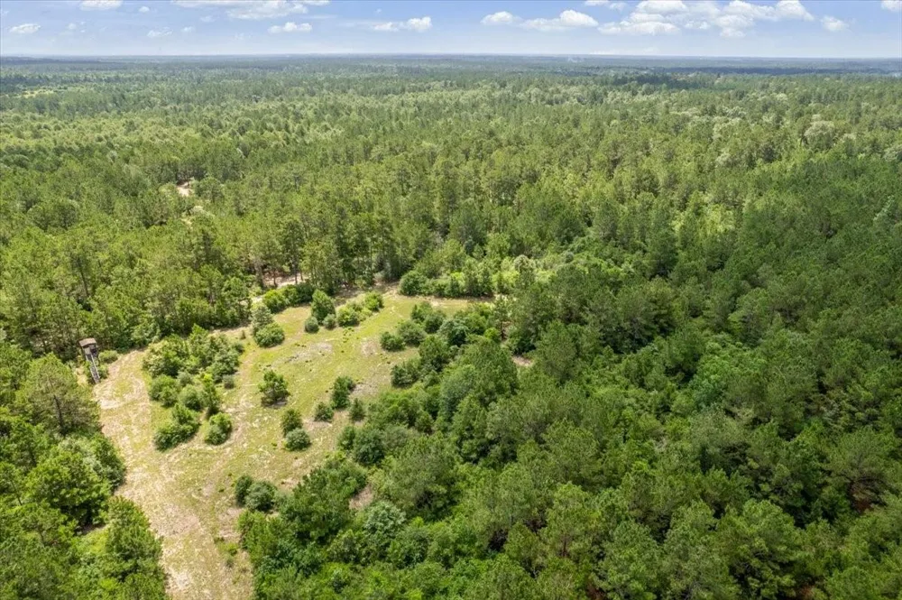 1 County Road 302 Plantersville, TX 77363