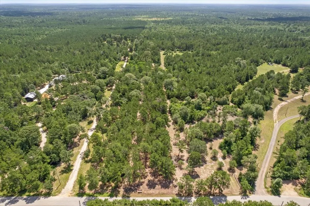 1 County Road 302 Plantersville, TX 77363