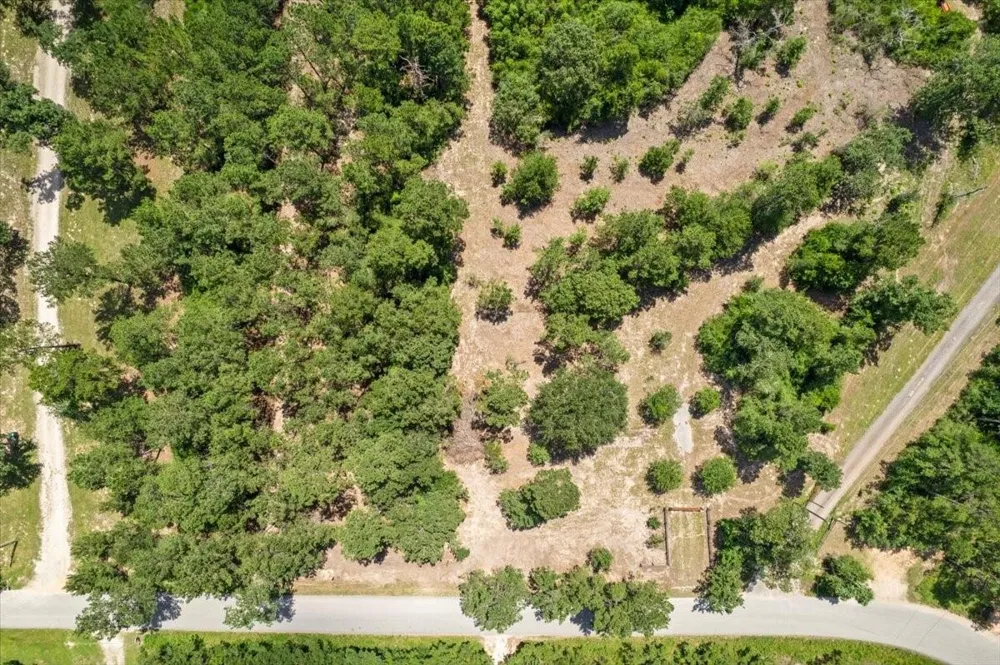 1 County Road 302 Plantersville, TX 77363