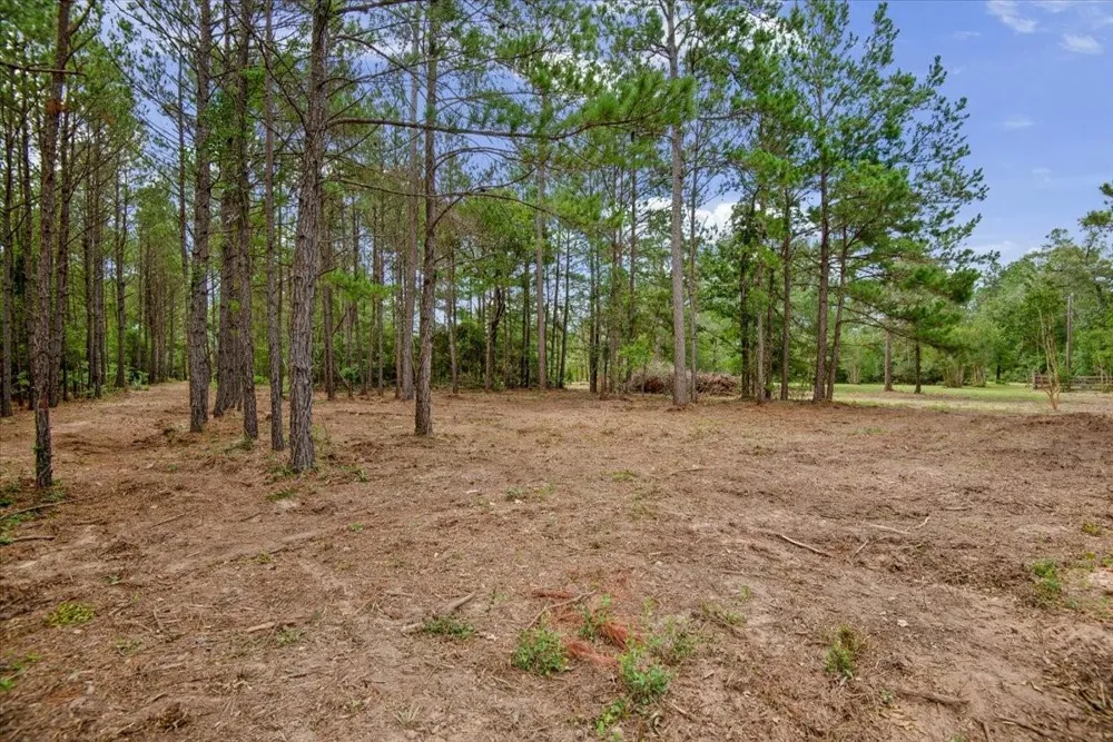 1 County Road 302 Plantersville, TX 77363