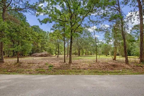 4 County Road 302