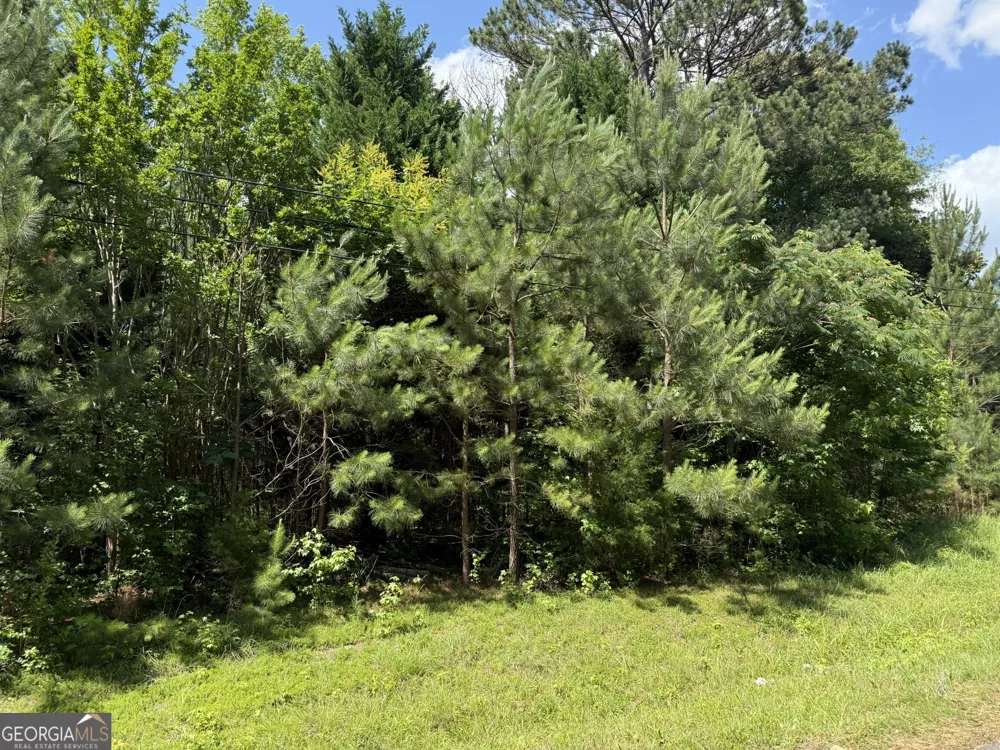 1425 River RD Warm Springs, GA 31830