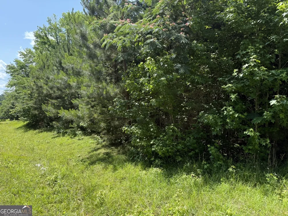 1425 River RD Warm Springs, GA 31830