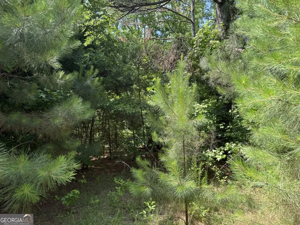 1425 River RD Warm Springs, GA 31830