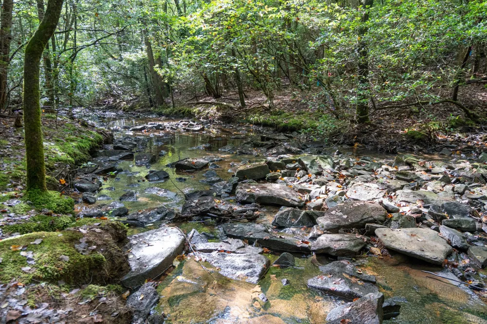 308 Timberwood Trc Monteagle, TN 37356