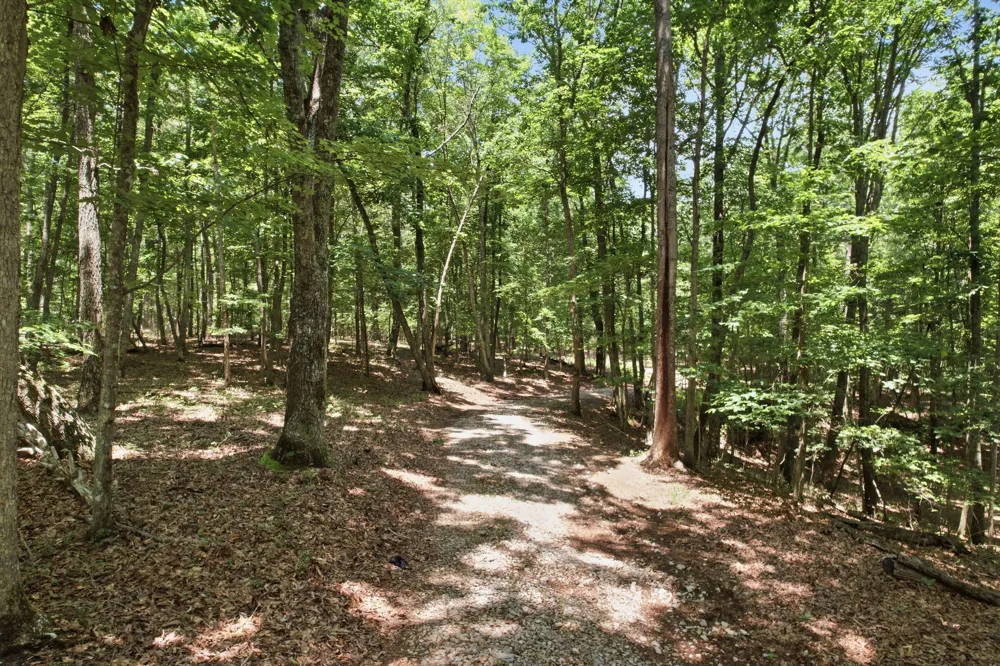 308 Timberwood Trc Monteagle, TN 37356