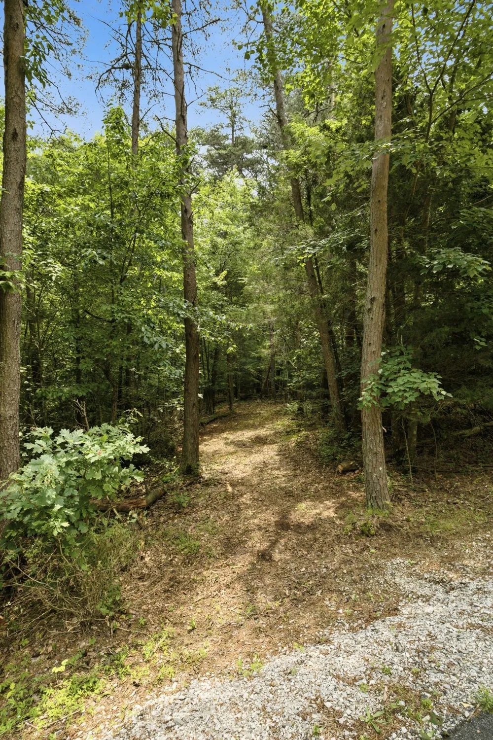 308 Timberwood Trc Monteagle, TN 37356