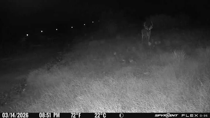 14867 County Road 407 Trent, TX 79561