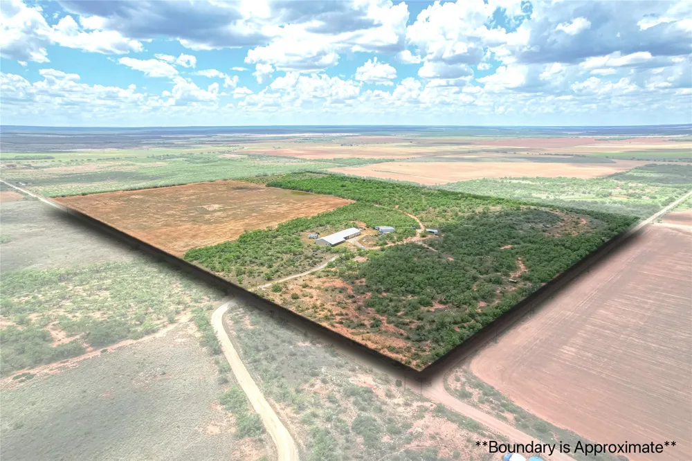 14867 County Road 407 Trent, TX 79561