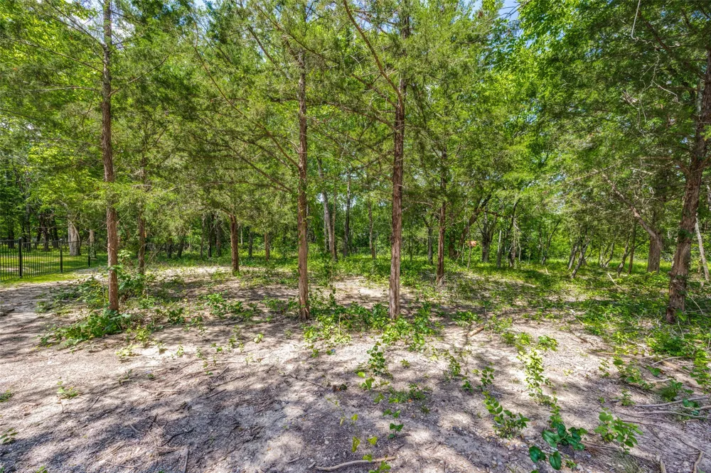507 Charlie Joseph Drive Van Alstyne, TX 75495