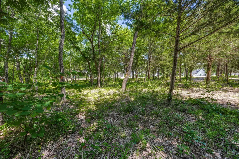 507 Charlie Joseph Drive Van Alstyne, TX 75495