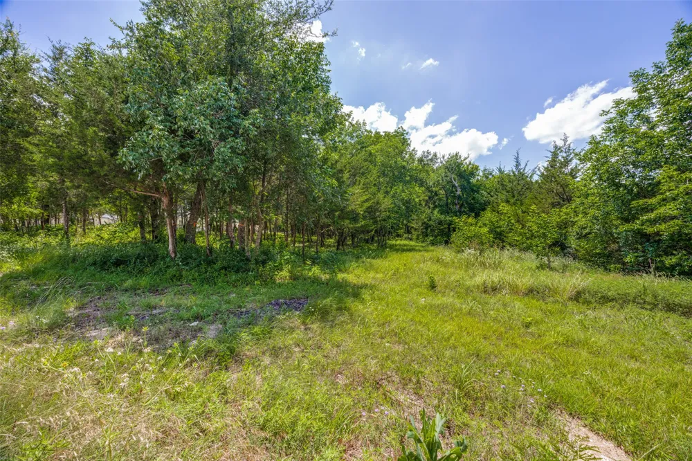 507 Charlie Joseph Drive Van Alstyne, TX 75495
