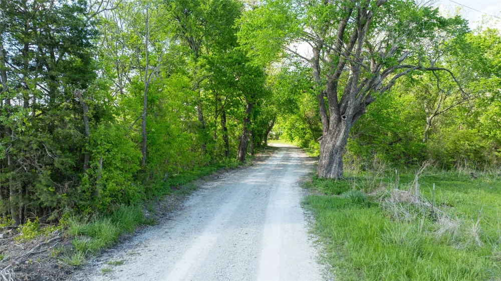 CR 26150 Roxton, TX 75477