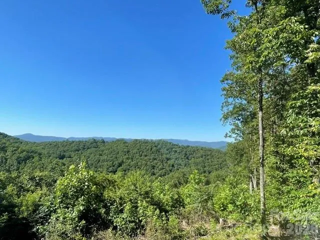 1300 Towery Trace Ellenboro, NC 28040