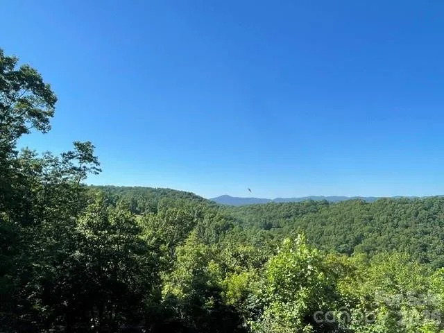 1300 Towery Trace Ellenboro, NC 28040