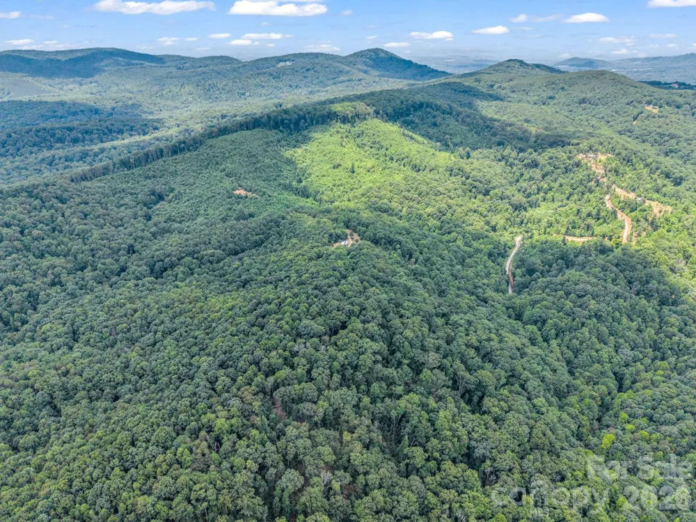 1300 Towery Trace Ellenboro, NC 28040