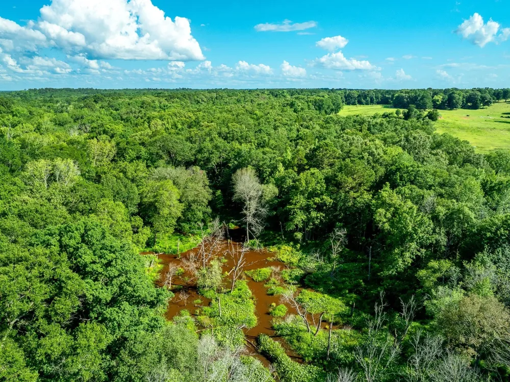 CR 2137 D Tatum, TX 75961