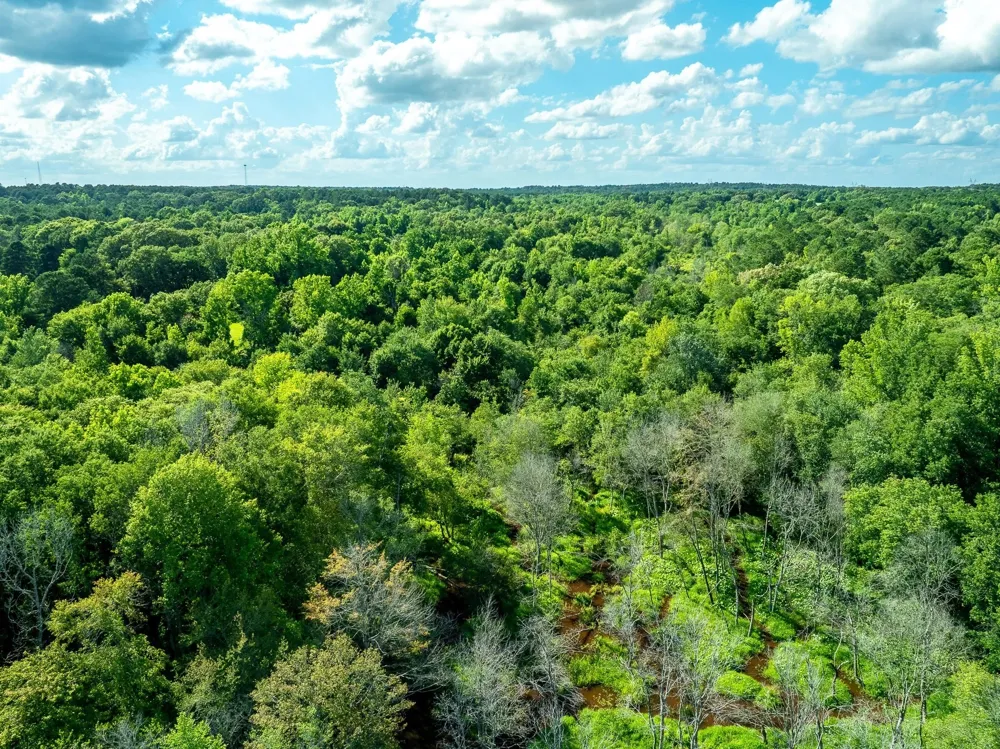 CR 2137 D Tatum, TX 75961