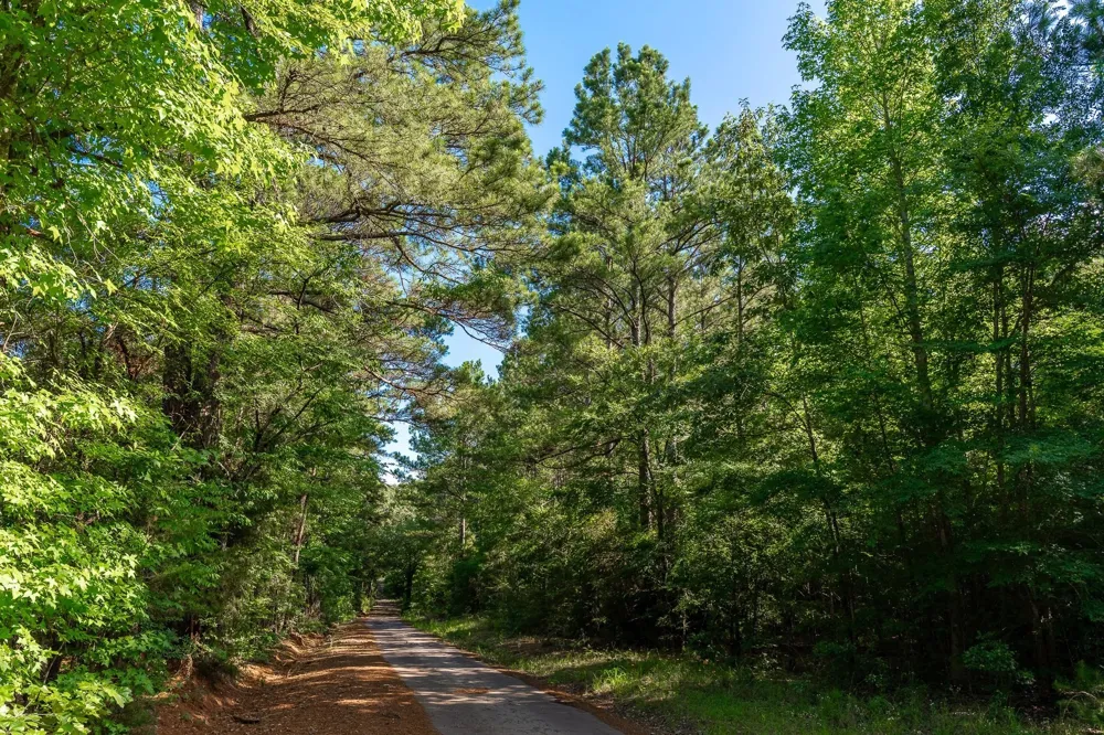 CR 2137 D Tatum, TX 75961