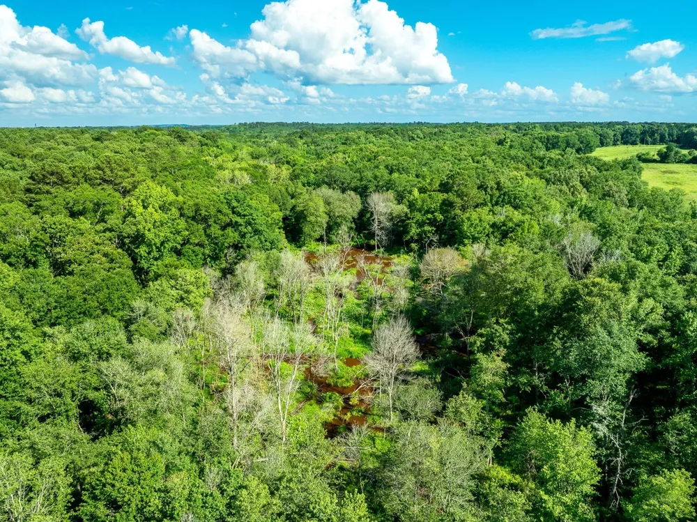 CR 2137 D Tatum, TX 75961