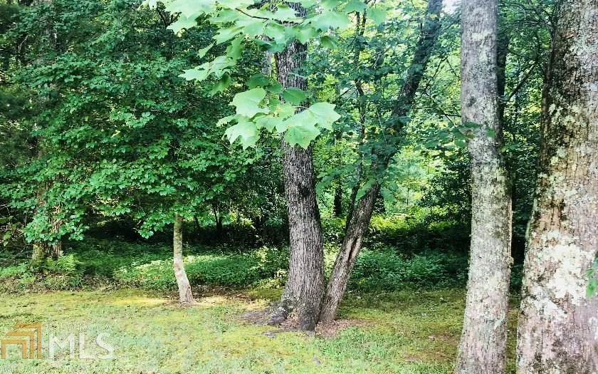 0 Hi River Country Hiawassee, GA 30546