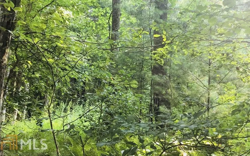0 Hi River Country Hiawassee, GA 30546