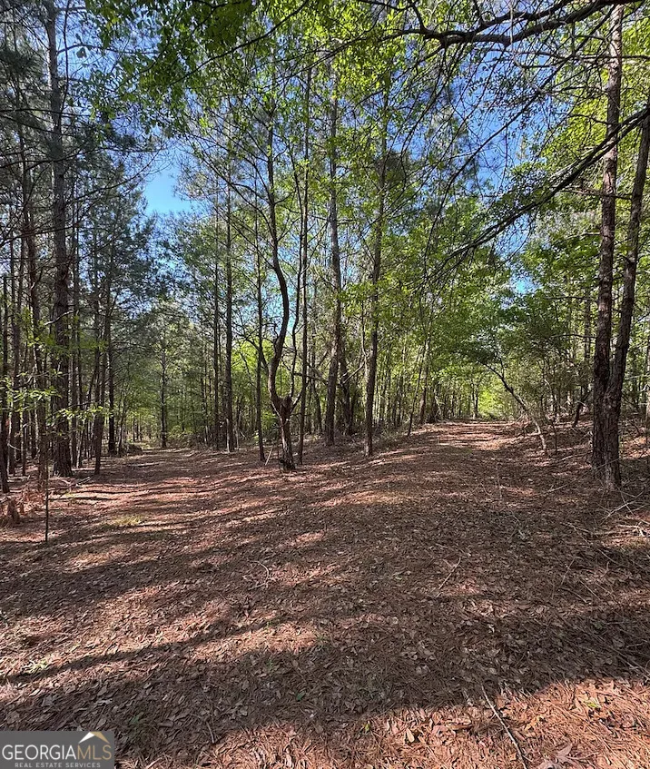 0A Middle Ground RD Louisville, GA 30434