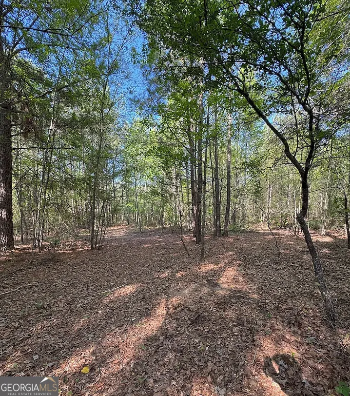 0A Middle Ground RD Louisville, GA 30434