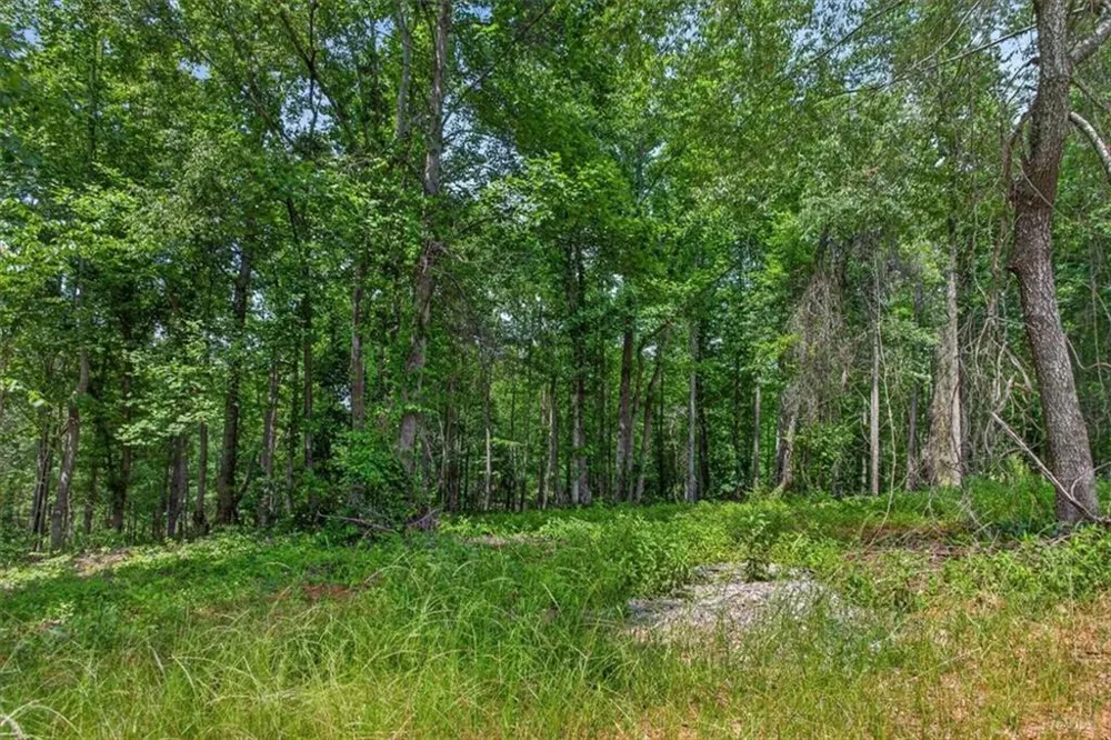 0 Conns Creek Road Ball Ground, GA 30107