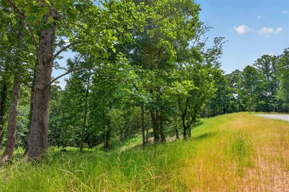 0 Conns Creek Road Ball Ground, GA 30107