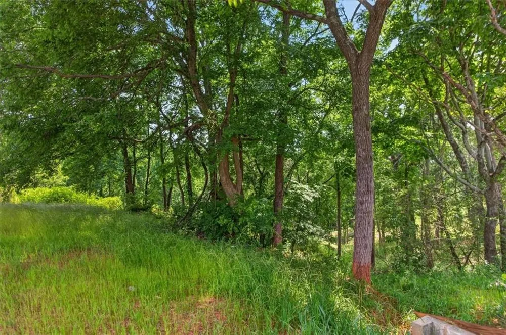 0 Conns Creek Road Ball Ground, GA 30107