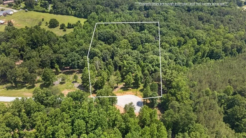0 Conns Creek Road Ball Ground, GA 30107