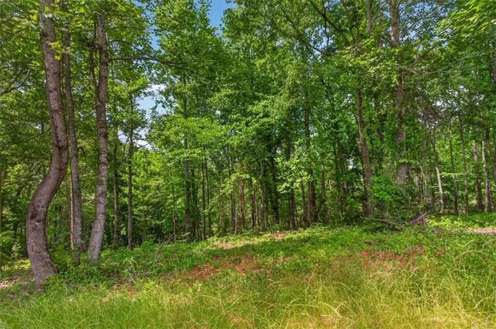 0 Conns Creek Road Ball Ground, GA 30107