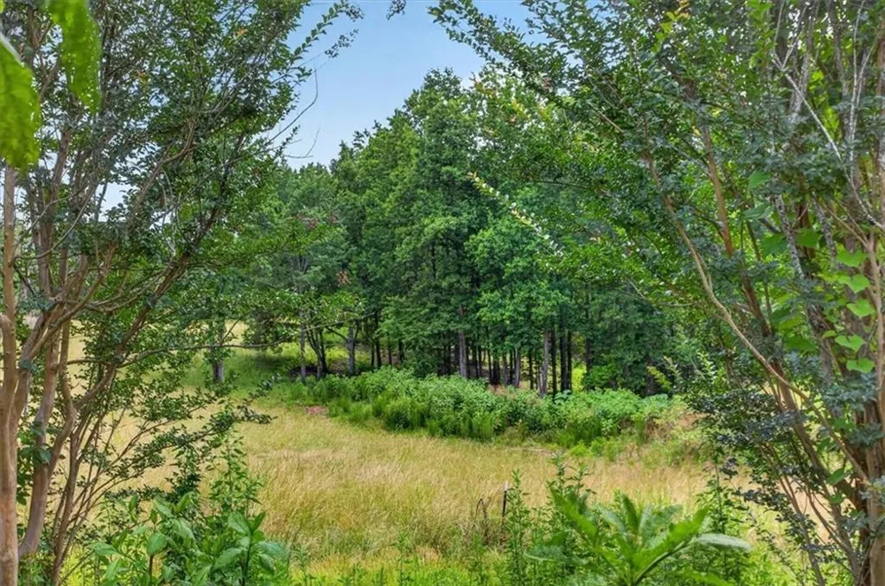 0 Conns Creek Road Ball Ground, GA 30107