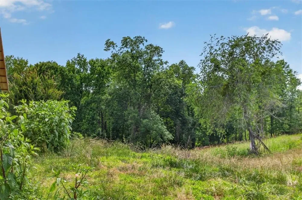 0 Conns Creek Road Ball Ground, GA 30107