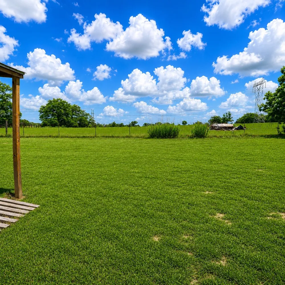 1112 Spruiell Street Jewett, TX 75846