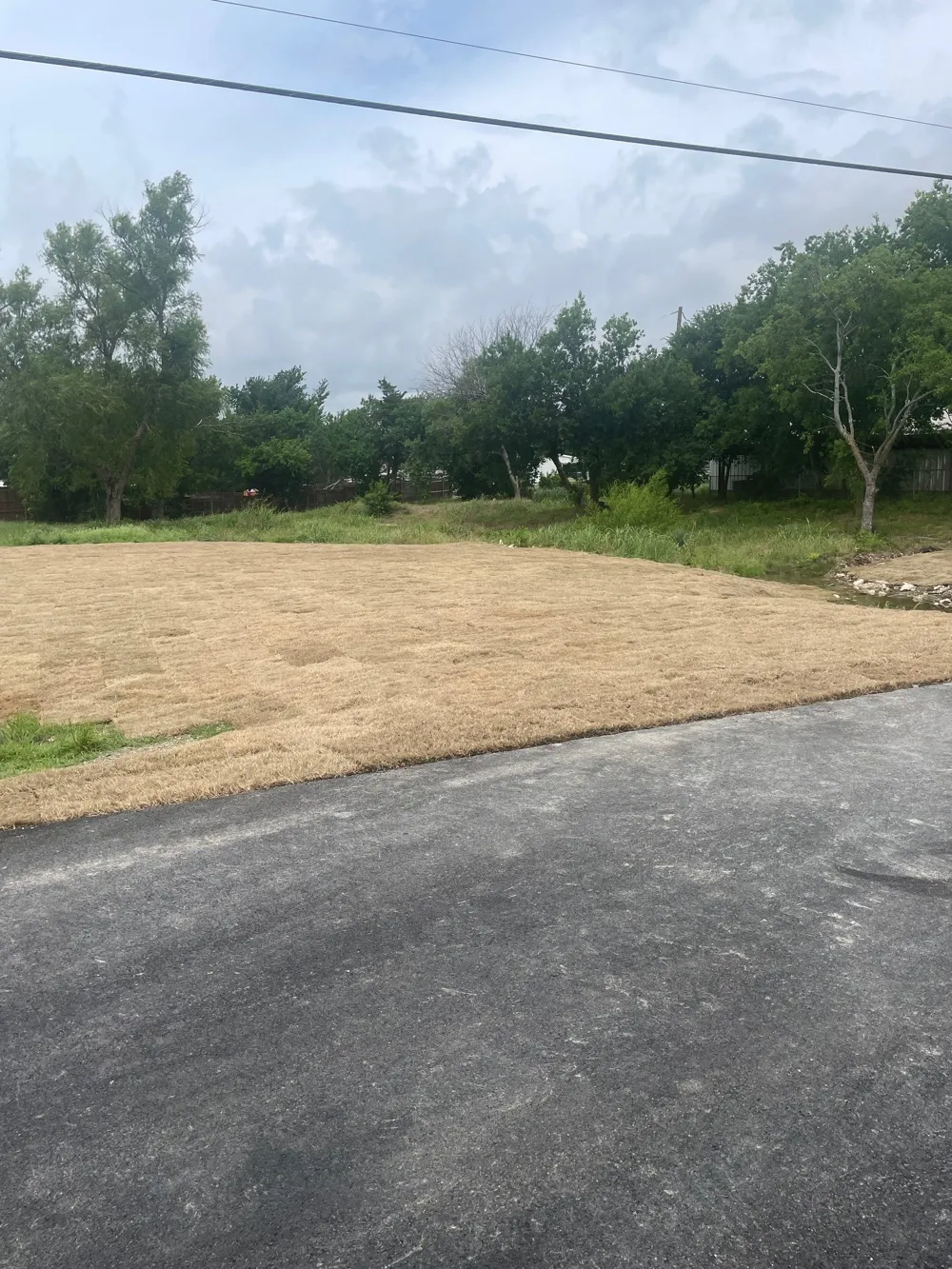1006 S Riggins Street Anna, TX 75409