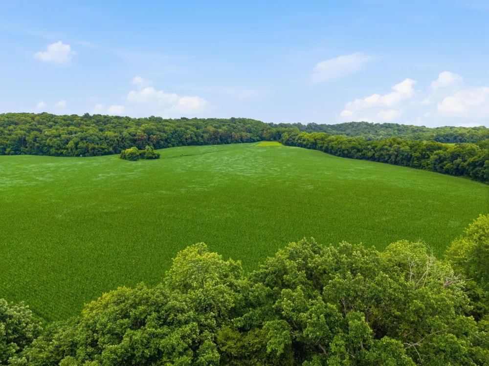 2214 Trieste Trl Adams, TN 37010