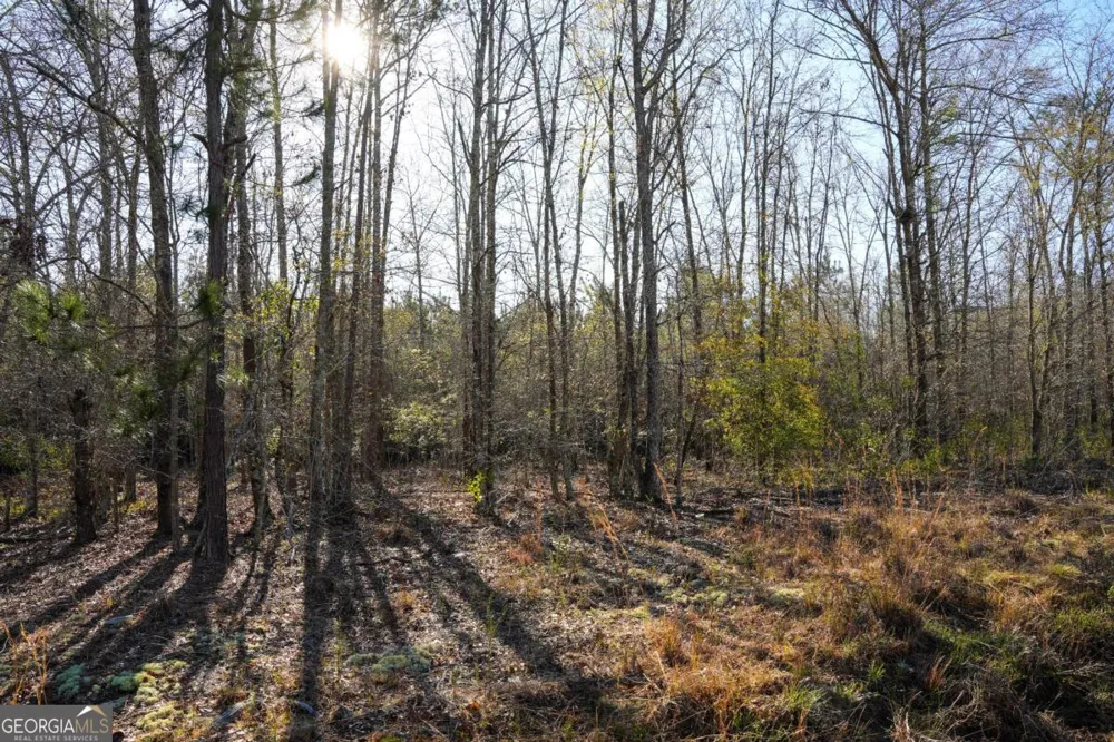 0 Clifton RD Statesboro, GA 30458