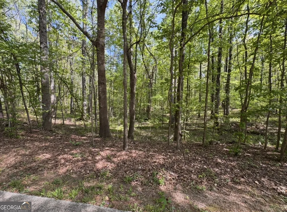 140 Emerald LN Fayetteville, GA 30214