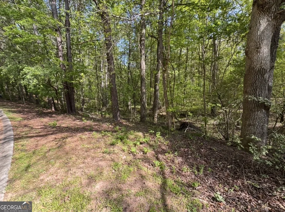 140 Emerald LN Fayetteville, GA 30214