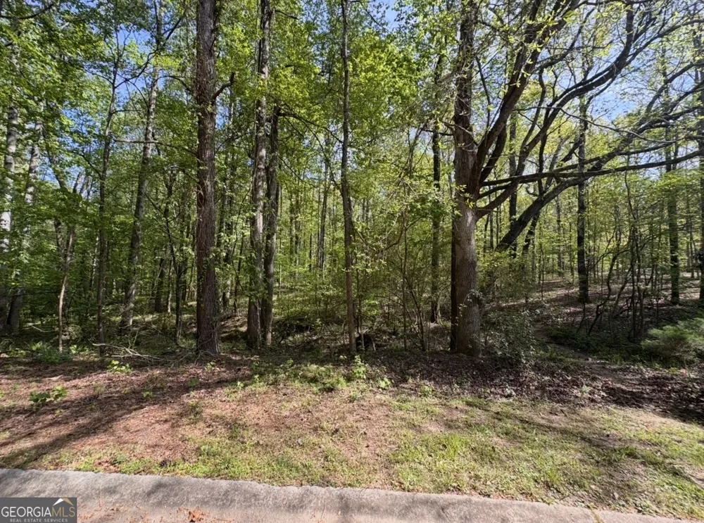 140 Emerald LN Fayetteville, GA 30214