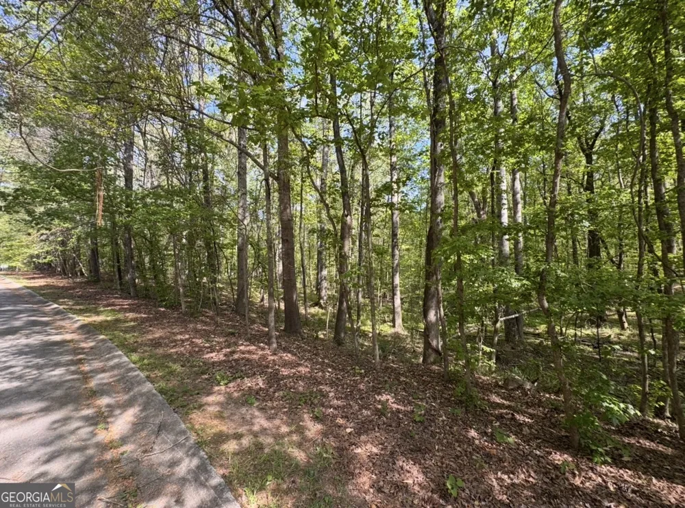 140 Emerald LN Fayetteville, GA 30214