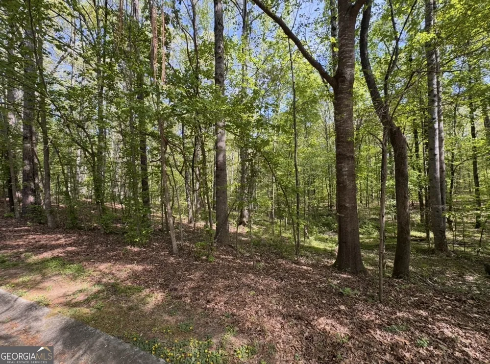 140 Emerald LN Fayetteville, GA 30214
