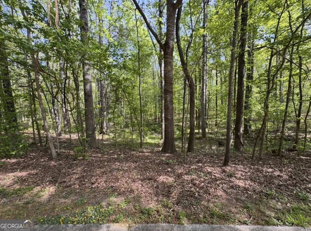140 Emerald LN Fayetteville, GA 30214
