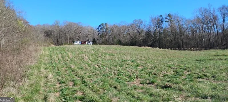 2331 Kesler RD Carnesville, GA 30521