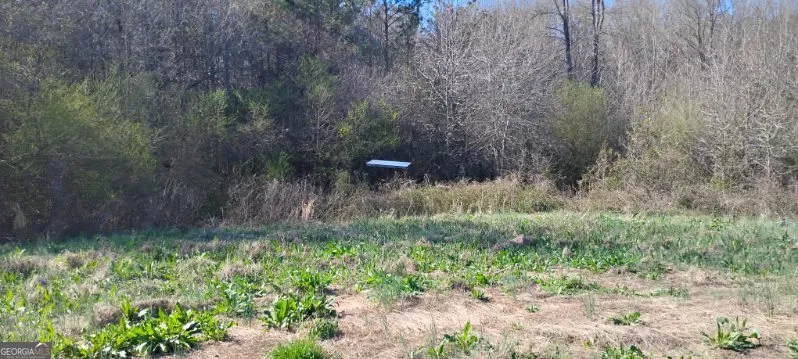 2331 Kesler RD Carnesville, GA 30521